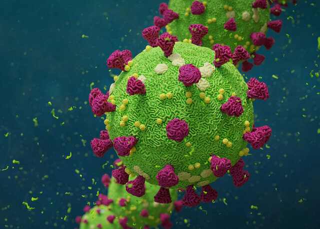 هر کروناویروس طی ۲۴ ساعت ۹۰۰ ویروس جدید تولید می‌کند