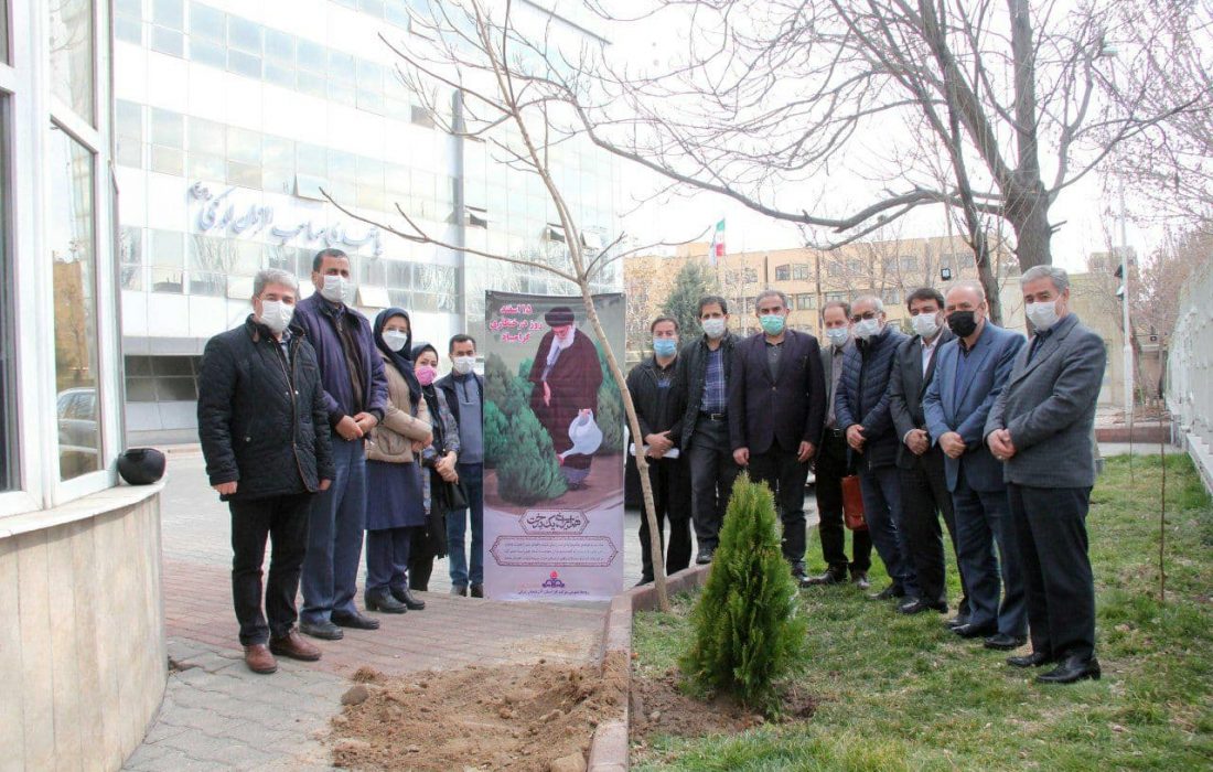 اجرای سنّت حسنه درختکاری در شرکت گاز استان آذربایجان شرقی