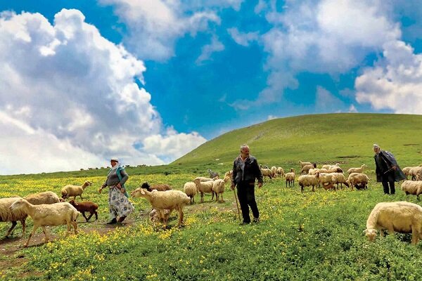 ۶۰۰۰خانوارعشایری برای تعلیف دام به مراتع آذربایجان شرقی وارد شدند