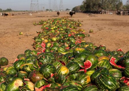 سهم قابل‌توجه ایران در هدررفت محصولات غذایی