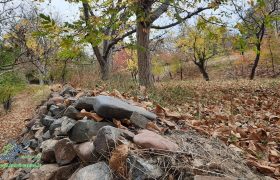 جلوه های زیبای پاییزی در روستای الماس