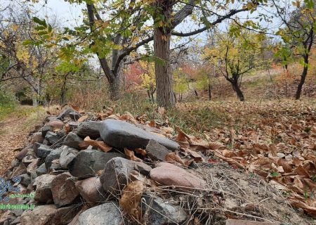جلوه های زیبای پاییزی در روستای الماس