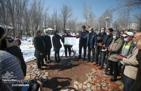 درختکاری هنرمندان در تبریز