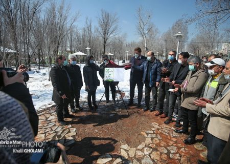 درختکاری هنرمندان در تبریز