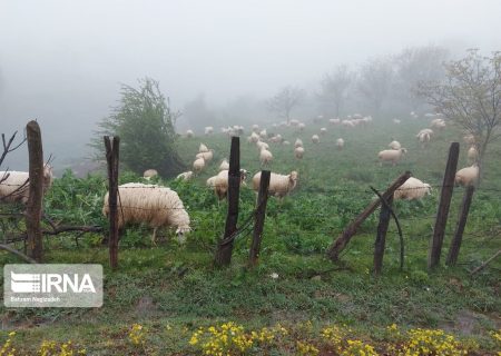 زیبایی‌های جاده خلخال – پونل