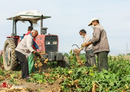 خسارت بیش از ۱۰ هزار میلیارد ریالی بخش کشاورزی آذربایجان شرقی در سال جدید