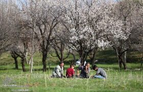 طبیعت بهاری روستای گلجار مرند