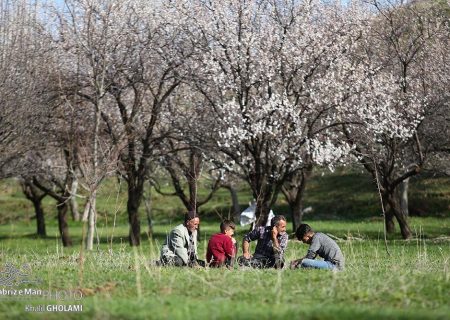 طبیعت بهاری روستای گلجار مرند