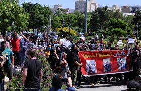 اعتراضات مردمی به سگ کشی در تبریز