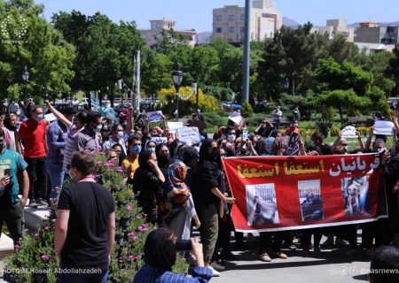 اعتراضات مردمی به سگ کشی در تبریز