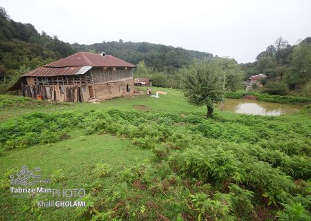 سه شب اقامت در پیله بابا