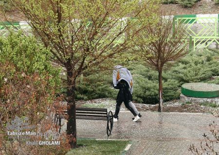 باران، بهار و پنجره های شهر