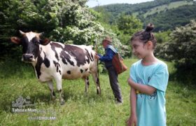 سفر بهاری و خانوادگی به روستای حدادان