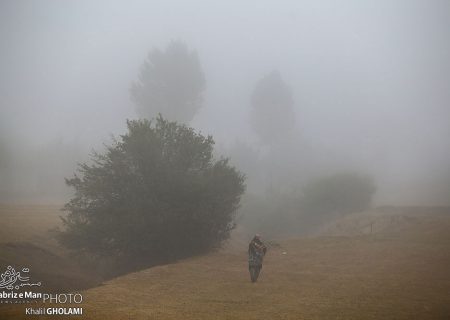 سفر در اعماق مه