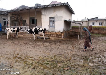 زندگی ترکمن صحرا