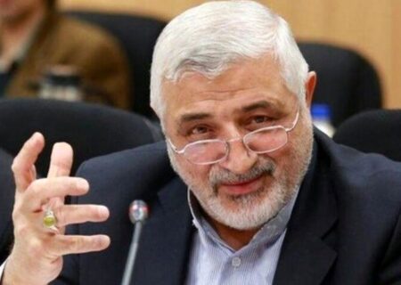 وزیر آینده کار باید «یارانه کالایی» را جایگزین یارانه نقدی کند