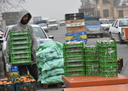 جمع‌آوری و معدوم‌سازی کالاهای غیرمجاز میدان میوه و تره‌بار