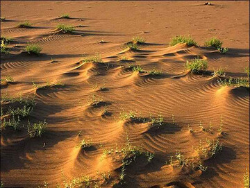 مسئولان به داد آذربایجان برسند / کویر آذربایجان از دست می رود