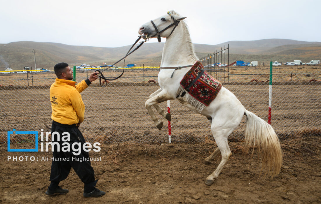 بیست‌ و نهمین جشنواره فرهنگی ورزشی عشایر آذربایجان