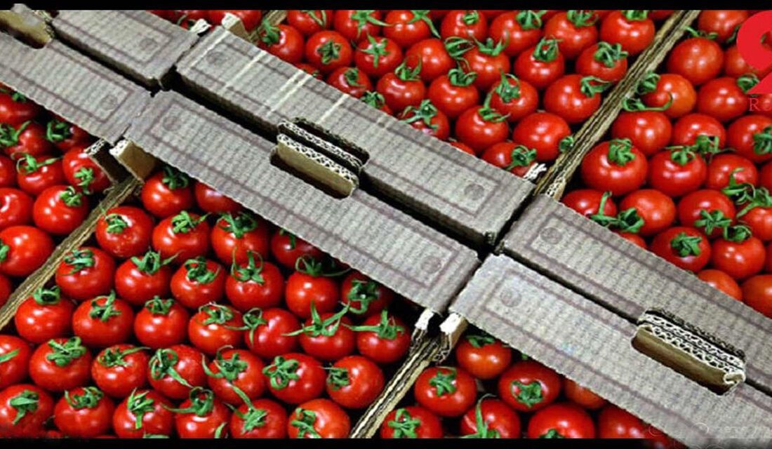 قیمت تمام شده محصولات کشاورزی برای تولیدکننده در پاییز چقدر بود؟