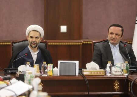 تغییر قوانین با تغییر دولت‌ها، عامل بی‌اعتمادی سرمایه‌گذاران است