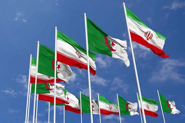 تقویت روابط اقتصادی تهران – الجزیره؛ فرصتی تازه در سایه دیپلماسی فعال