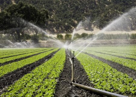 جلسه اضطراری برای کاهش آب اختصاصی بخش کشاورزی