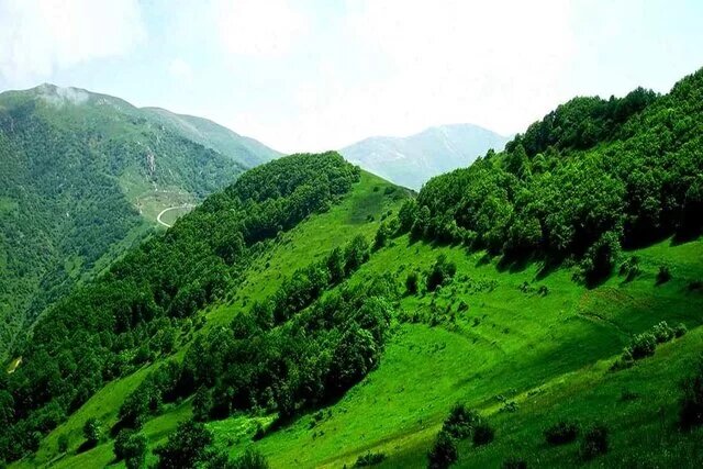 حفاظت از عرصه‌های منابع طبیعی به جوامع محلی واگذار شود