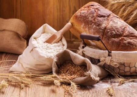 خرید گندم کیفی باید در دستور کار قرار گیرد