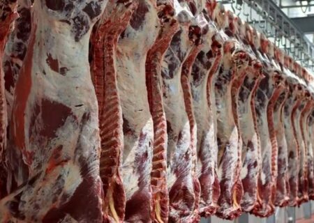 فردا ثبت سفارش جدید  گوشت قرمز و چای آغاز می‌شود