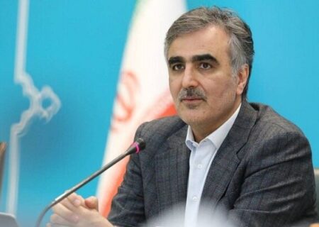 فرزین: سیاست بانک مرکزی تثبیت نرخ ارز است