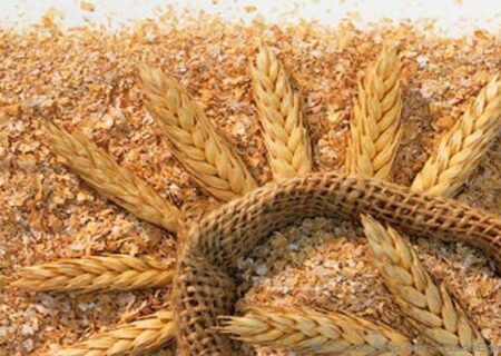 قیمت سبوس گندم آزاد شد