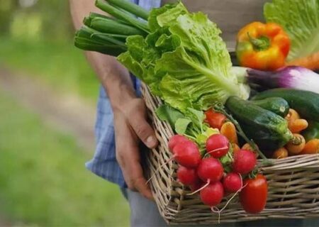 محصولات تراریخته امنیت غذایی جهانی را بهبود داد