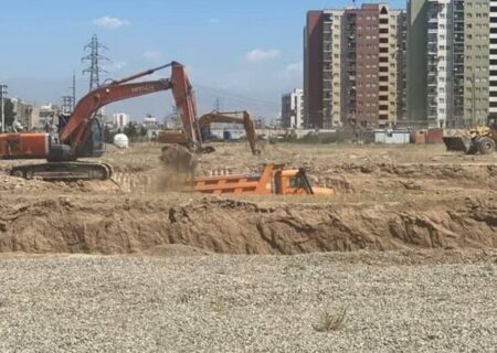 مسکن، اسب سرکشی که افسار آن به دست دولت است