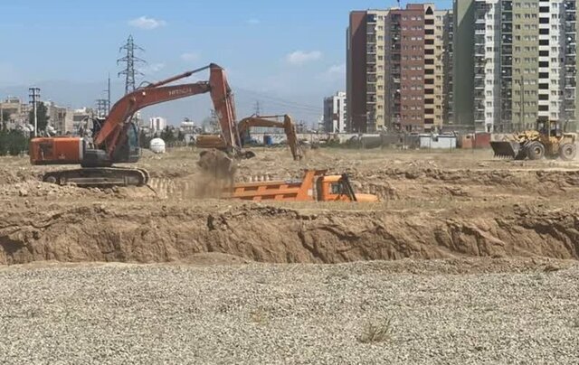 مسکن، اسب سرکشی که افسار آن به دست دولت است