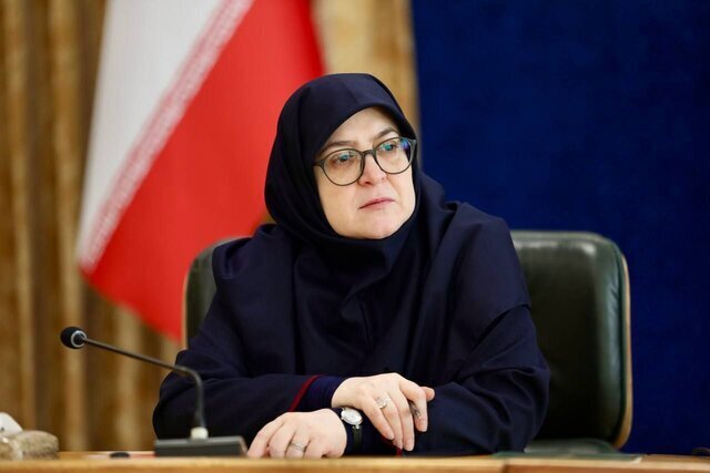 مهاجرانی: درباره مذاکرات نه ذوق‌زده‌ایم نه گاردی داریم