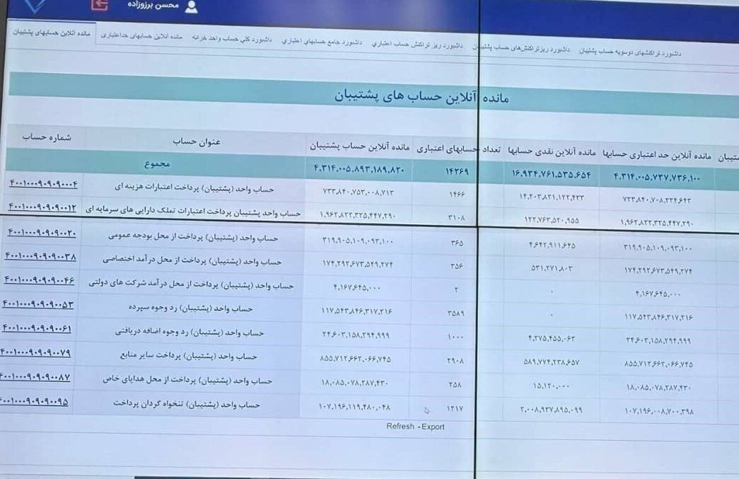 وزارت اقتصاد: یک ریال وجه نقد رسوبی در حساب دستگاه‌ها نیست