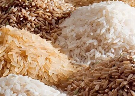 ۲۰۰ هزار تن برنج در انتظار مجوز ترخیص