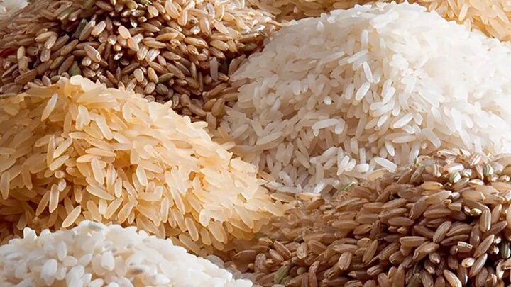 ۲۰۰ هزار تن برنج در انتظار مجوز ترخیص