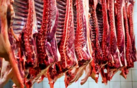 قیمت گوشت قرمز امروز ۱ اردیبهشت ۱۴۰۴/ فیله گوسفندی چند؟ + جدول