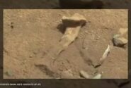 ادعای جنجالی مأمور سابق سیا / در مریخ استخوان دیدم / عکس