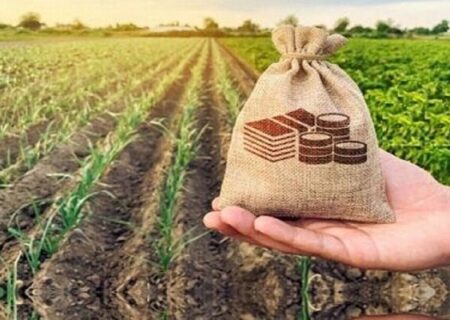رفع مشکلات بخش زراعت با بهره‌گیری از ظرفیت صندوق‌های حمایت