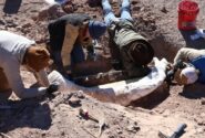 کنده درخت، گنج ۱۲ هزار ساله بود