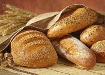 افزایش تولید نان خشک در تبریز