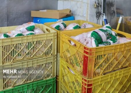 توزیع گوشت مرغ تنظیم بازار آغاز شد