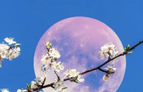 واضح ترین عکسی که تا کنون از ماه گرفته شده است