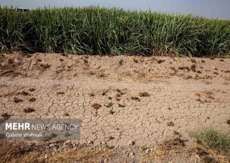 اقدامات جهاد کشاورزی برای مقابله با تنش‌های آبی