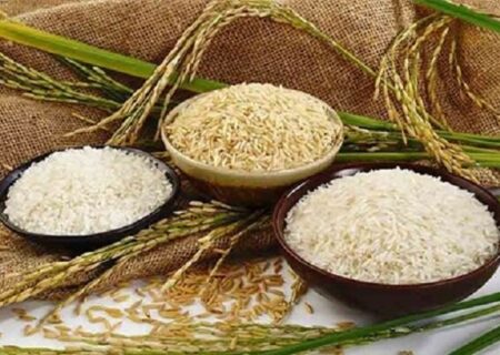 بازار انحصاری، برنج ایرانی را گران کرد