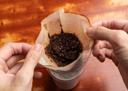 ثبت‌سفارش قهوه، کاکائو، ماهی تن و ذرت فردا آغاز می‌شود