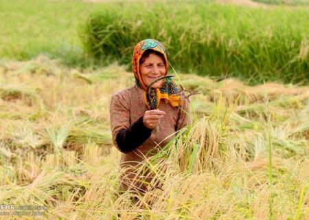 فائو ۴ نظام میراث کشاورزی مهم جهانی را ثبت کرد